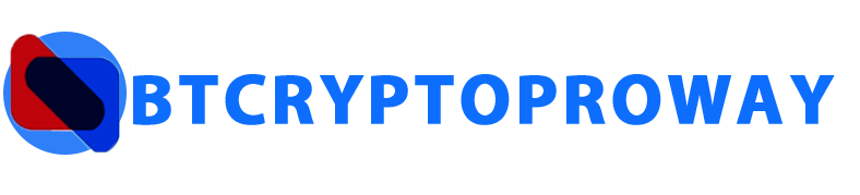 Crypto Assest
